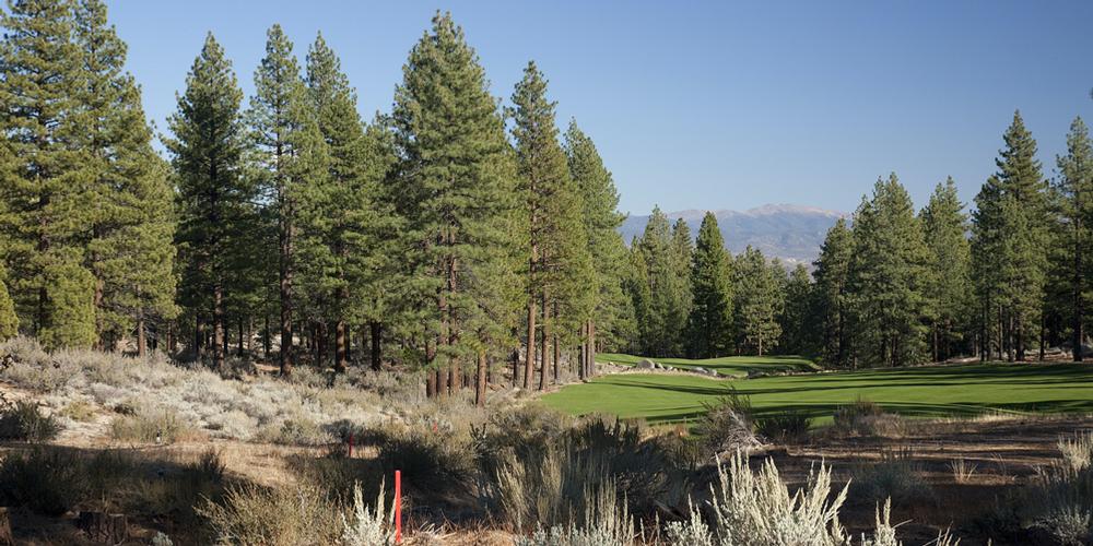 Clear Creek Tahoe - Hole #15