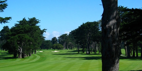 TPC Harding Park - Fleming 9