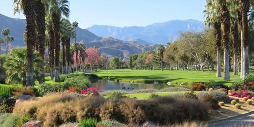 Thunderbird Country Club